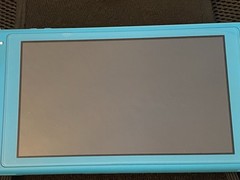 Nintendo Switch Lite Turquoise Handheld Console Case /Charger /Big Brain Game
