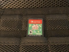 Nintendo Switch Lite Turquoise Handheld Console Case /Charger /Big Brain Game