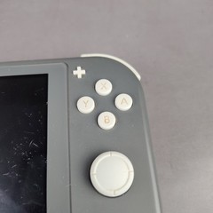 Nintendo Switch Lite Grey Console Bundle 128GB M-Card, Pro Controller, & Holder