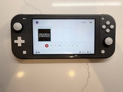 Nintendo Switch Lite Good Working Condition