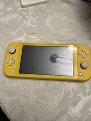 Nintendo Switch Lite Screen Scratch And Game Card Broke