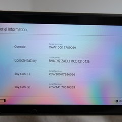 Nintendo Switch Bundle | HAC-001 Launch Model | Low Serial | Adult-Owned