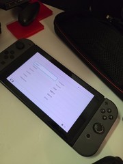 Nintendo Switch Console Bundle with Gray Joy-Cons