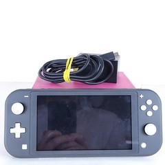 Nintendo Switch Lite Handheld Console Grey w/AC Adapter & 256GB MicroSD Card