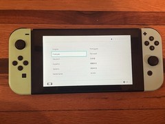 Nintendo Switch Animal Crossing Edition Console Dock Joy-Cons Tested Works