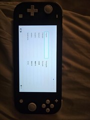 Nintendo Switch Lite Gray Handheld System
