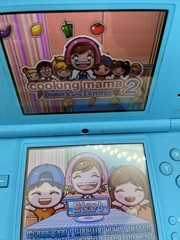 Nintendo DSi Blue Handheld Console (READ). Tested With Stylus, Earbuds Charger