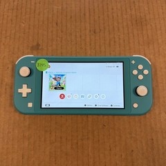 (Z310) Nintendo Switch Lite Teal W/ Game (No Charger) Tested
