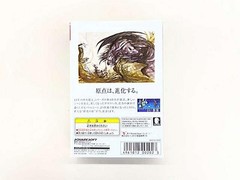 FF Software bundled version Model Number WSC 001 SWJ SQRC01 BANDAI SQUARESOFT