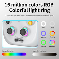 RG406V Handheld Game Console Android13 4″ IPS 128GB 5G WiFi BT HDMI