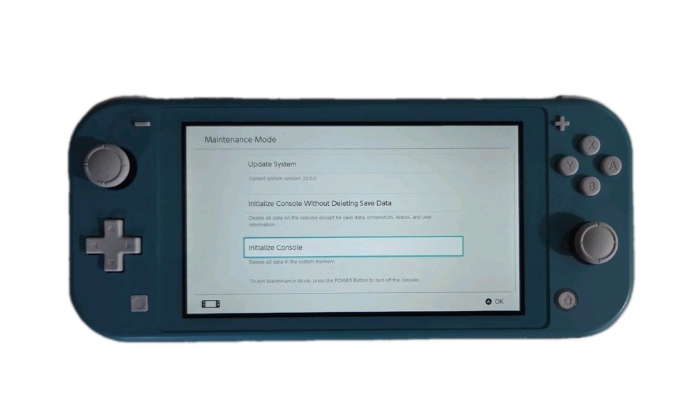 Nintendo Switch Lite Handheld System – Turquoise With Charger Reset / Excellent