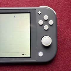 Nintendo Switch Lite Gray Handheld Console With Charger Tested And Working